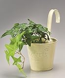 カントリーバスケットハンギングS ホワイト