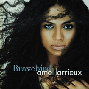 Amel Larrieux - Bravebird Lyrics - Zortam Music