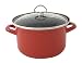 Chantal Enamel-On-Steel 4 Quart Soup Pot with Tempered Glass Lid, Glossy Cinnabar