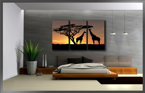 Imagen 2 de Visario 1034