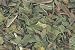 Peppermint Leaf, Cut - 2 ounces