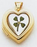 14kt Gold Mother of Pearl Heart Locket - XL334