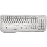 Samsung Pleomax PKB-700W Basic PS/2 Keyboard