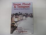 Snow, flood and tempest : railways and natural disasters