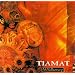 Excellent Gothic/Doom Albums (no order)
