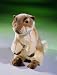 Plush Prairie Dog 9