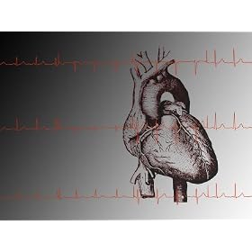 Heart and Readout of EKG ECG Cardio Rhythms Photographic Poster Print, 16x12