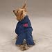 Medium Blue All Season Nantucket Wind Dog Jacket