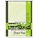 Pacon 945610 S.a.v.e recycled chart pad, 1" ruling, 5-hole punched, 24 x 32, 70 sheets/pad