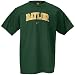 Nike Baylor Bears Green Classic College T-shirt