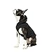 Gooby Fleece Vest Hoodie Dog Sweater - Black, Large - Warm Pullover Dog Hoodie with O-Ring Leash for Small to Medium Dogs