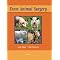 Know which books are actually useful in vet school!