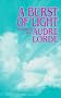 A Burst of Light: Essays