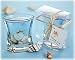 Seashells Gel Candle in Clear Gift Box with Raffia Tie and Thank You Tag