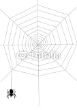 Wallmonkeys Peel and Stick Wall Decals - Spider on the Net - 24