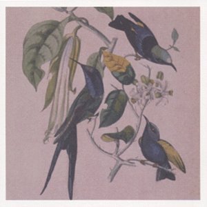 CD-Charts  Music : Sakura