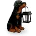 Rottweiler With Solar Lantern