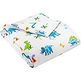 Olive Kids Dinosaur Land Twin Duvet Cover
