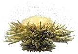 Teaposy Let It Snow Tea- Box of 6
