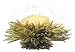 Teaposy Let It Snow Tea - Box of 6