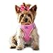 American River Ultra Choke-Free Mesh Dog Harness by Doggie Design - Candy Pink Size 2X/3X-Large