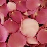 Lavender Fresh Rose Petals