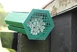 RED MASON BEE NEST