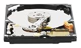 Item 1539: Western Digital WD2500BEVERTL