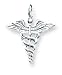 Sterling Silver Caduceus Charm with 20 inch Sterling Silver Chain