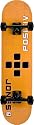 POSITIV Complete Skateboard - Rodney Jones - Amazon Exclusive (Maple) 7.5 Inch Wide