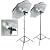 Pro 1200 Watt Fluorescent PhotoDigital Video Lighting Kit