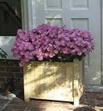 Outdoor Living : White Cedar Porch Planter
