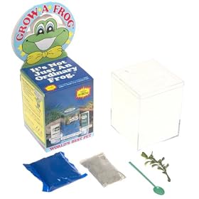 Grow A Frog by Three Rivers Mail Order Corporation