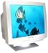 Sceptre D219A 21" Flat Tube CRT Monitor