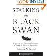 Stalking the Black Swan: Research and Decision Making in a World of Extreme Volatility (Columbia... by Kenneth A. Posner