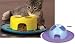 Cat Toy Hunt-A-Treat Color: Yellow Cat Toy Hunt-A-Treat Color: Yellow