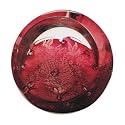 Celebration Ruby 40th Anniversary