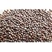 Organic Broccoli Sprouting Seeds - 16 Oz (1 Lbs)- Organic- Edible Seed, Gardening, Hydroponics, Growing Salad Sprout & Food Storage- Brocolli Sprouts Contain Sulforaphane