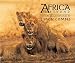 Africa & Beyond - The Art & Adventures of Simon Combes