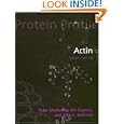 Actin (Protein Profile (Unnumbered).)