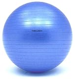 TOEI LIGHT(トーエイライト) ボディーボールアンチバースト65 パールブルー B3108