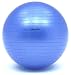TOEI LIGHT(�g�[�G�C���C�g) �{�f�B�[�{�[���A���`�o�[�X�g65 �p�[���u���[ B3108