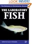 The Laboratory Fish (Handbook of Experimental Animals)