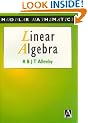 Linear Algebra (Modular Mathematics Series)
