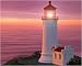 Search : Washington State Lighthouse - 1000pc Jigsaw Puzzle by Springbok