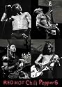 Red Hot Chili Peppers - Music Poster (B&W Collage)