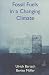Fossil Fuels in a Changing Climate: Impacts of the Kyoto Protocol and Developing Country Participation (Oxford Institute for Energy Studies)