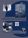 Fundamentals of Industrial Catalytic Processes