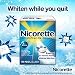 Nicorette White Ice 2mg Coated Mint Nicotine Polacrilex Gum 190 Pieces