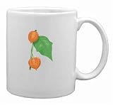 Chinese Lantern Mug